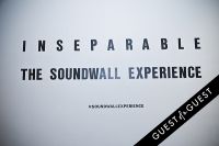 Inseparable the Soundwall Experience X #120