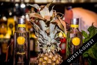 CIRCO Pineapple Debut At The Sheppard #21