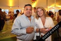 East End Hospice Summer Gala: Soaring Into Summer #94