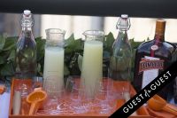 Cointreau Summer Soiree Celebrates The Launch Of Guest of a Guest Chicago Part II #41