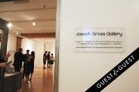 Pareidolia at Joseph Gross Gallery #15