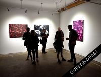 Joseph Gross Gallery Flores en Fuego Opening Reception #120