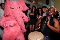 Pink Elephant 13 June 09 #11