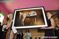 Humane Society of New York’s Third Benefit Photography Auction #165