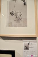Humane Society of New York’s Third Benefit Photography Auction #205