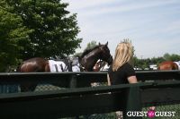 85th Running of Virginia Gold Cup Steeplechase #23