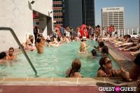 Swimming With Sharks @ The Standard #172
