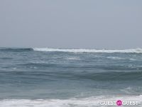 Surf's Up #15