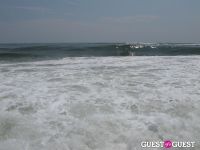 Surf's Up #19