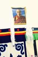 Art for Tibet Benefit Event #3