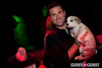 Beth Ostrosky Stern and Pacha NYC's 5th Anniversary Celebration To Support North Shore Animal League America #2