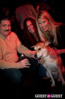 Beth Ostrosky Stern and Pacha NYC's 5th Anniversary Celebration To Support North Shore Animal League America #20