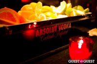 Absolut Vodka Celebrates the Armory Show #148