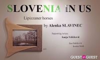 Slovenia in US Lipizzaner horses by Alenka Slavinec #3