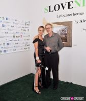 Slovenia in US at Gallery MC #31