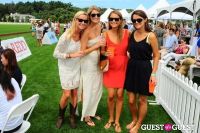 The 27th Annual Harriman Cup Polo Match #134