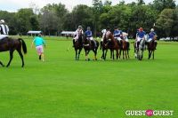 The 27th Annual Harriman Cup Polo Match #152