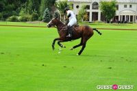 The 27th Annual Harriman Cup Polo Match #163