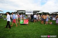 The 27th Annual Harriman Cup Polo Match #202