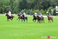 The 27th Annual Harriman Cup Polo Match #212