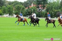 The 27th Annual Harriman Cup Polo Match #215