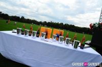 The 27th Annual Harriman Cup Polo Match #229