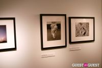 Fifty Photographs Collection With The New York Times And The CFDA #37
