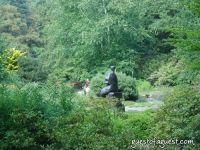 Henry Moore At New York Botanical Gardens #11