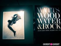 Watts' Wood Water & Rock Gallery Opening #50