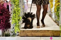 Fashion For Paws 2012 II #80
