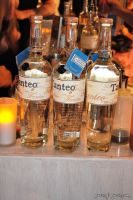 Tanteo Tequila Honors Mexican Artists in NYC #21