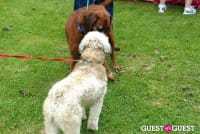 Paws Across The Hamptons Dog Walk To Benefit Southampton Hospital & Animal Shelter Foundation #4
