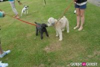 Paws Across The Hamptons Dog Walk To Benefit Southampton Hospital & Animal Shelter Foundation #20