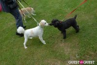 Paws Across The Hamptons Dog Walk To Benefit Southampton Hospital & Animal Shelter Foundation #23