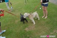 Paws Across The Hamptons Dog Walk To Benefit Southampton Hospital & Animal Shelter Foundation #24