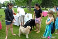 Paws Across The Hamptons Dog Walk To Benefit Southampton Hospital & Animal Shelter Foundation #31