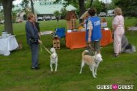 Paws Across The Hamptons Dog Walk To Benefit Southampton Hospital & Animal Shelter Foundation #41