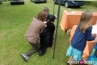 Paws Across The Hamptons Dog Walk To Benefit Southampton Hospital & Animal Shelter Foundation #52