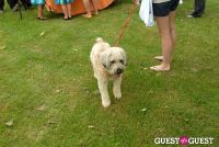 Paws Across The Hamptons Dog Walk To Benefit Southampton Hospital & Animal Shelter Foundation #54
