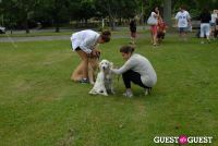 Paws Across The Hamptons Dog Walk To Benefit Southampton Hospital & Animal Shelter Foundation #58