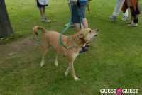 Paws Across The Hamptons Dog Walk To Benefit Southampton Hospital & Animal Shelter Foundation #64