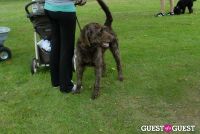 Paws Across The Hamptons Dog Walk To Benefit Southampton Hospital & Animal Shelter Foundation #67
