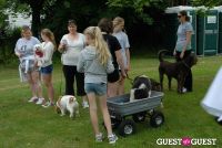 Paws Across The Hamptons Dog Walk To Benefit Southampton Hospital & Animal Shelter Foundation #68
