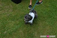 Paws Across The Hamptons Dog Walk To Benefit Southampton Hospital & Animal Shelter Foundation #81