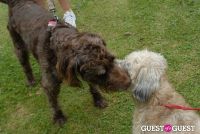 Paws Across The Hamptons Dog Walk To Benefit Southampton Hospital & Animal Shelter Foundation #93