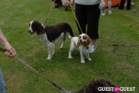 Paws Across The Hamptons Dog Walk To Benefit Southampton Hospital & Animal Shelter Foundation #95