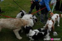 Paws Across The Hamptons Dog Walk To Benefit Southampton Hospital & Animal Shelter Foundation #109