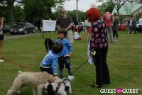 Paws Across The Hamptons Dog Walk To Benefit Southampton Hospital & Animal Shelter Foundation #110