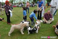 Paws Across The Hamptons Dog Walk To Benefit Southampton Hospital & Animal Shelter Foundation #111