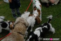 Paws Across The Hamptons Dog Walk To Benefit Southampton Hospital & Animal Shelter Foundation #112